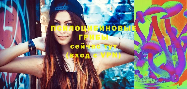 соль ск Балабаново