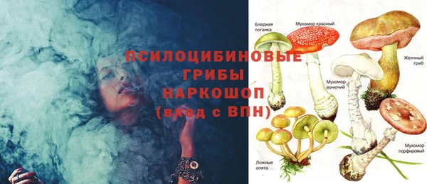 прущие крисы Балахна