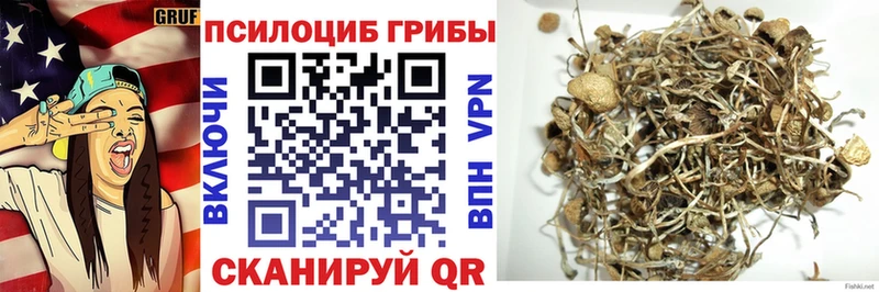 купить  сайты  Белорецк  hydra маркетплейс  Псилоцибиновые грибы мухоморы 